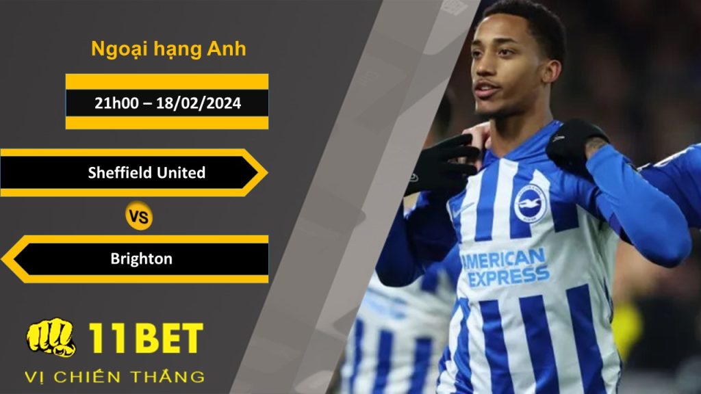 11BET Soi kèo Sheffield United vs Brighton, 21h00, 18/02/2024