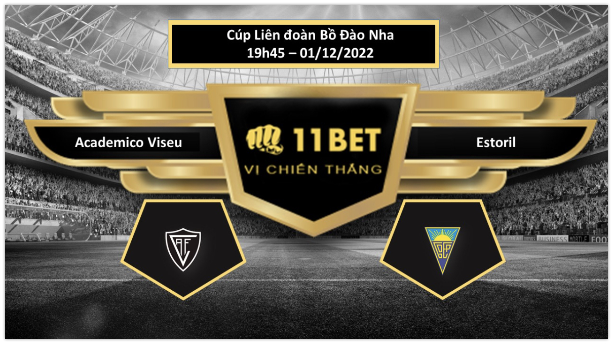 11BET Tip bóng đá   Academico Viseu vs Estoril, hôm nay 01/12/2022