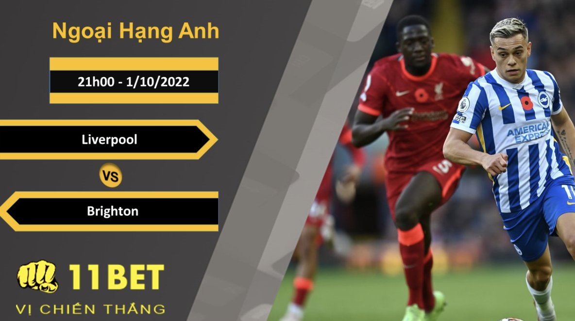 11BET Soi kèo Liverpool vs Brighton, 21h00, 1/10/2022
