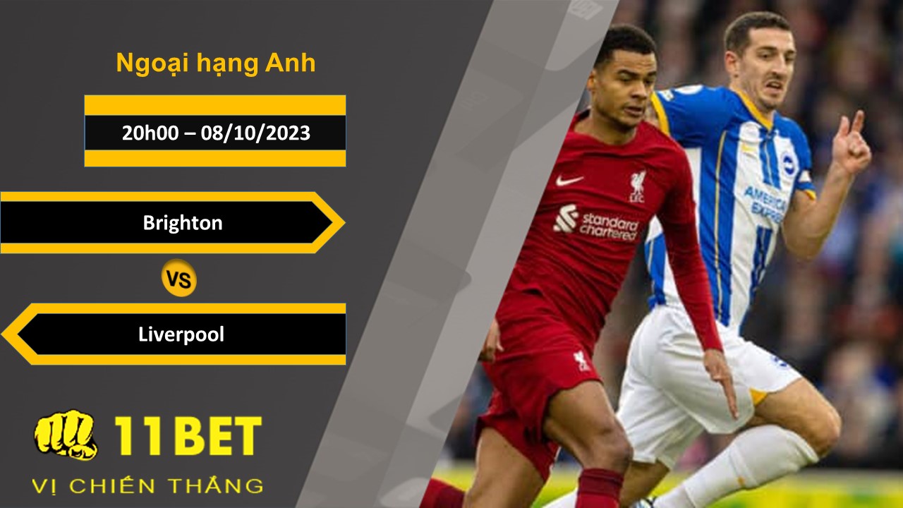 11BET Soi kèo  Brighton vs Liverpool, 20h00, 08/10/2023